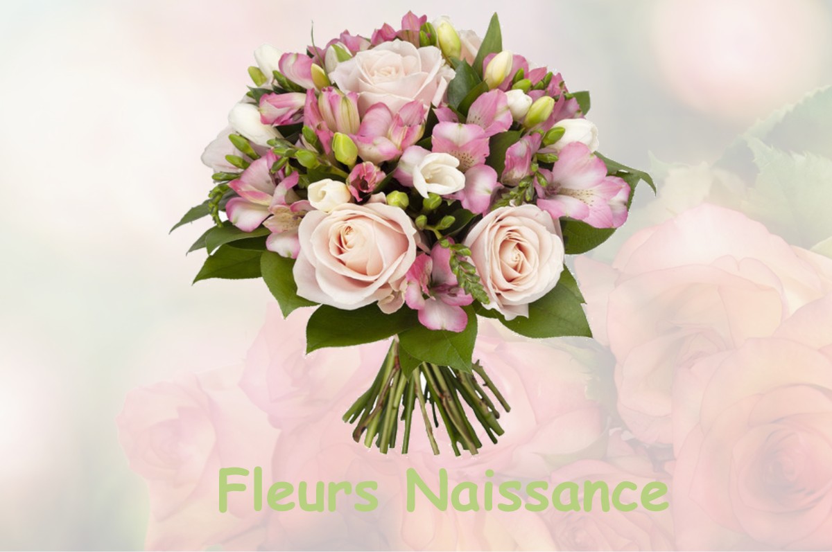 fleurs naissance SAINT-PIERRE-D-ALLEVARD